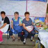 Falunap 2017